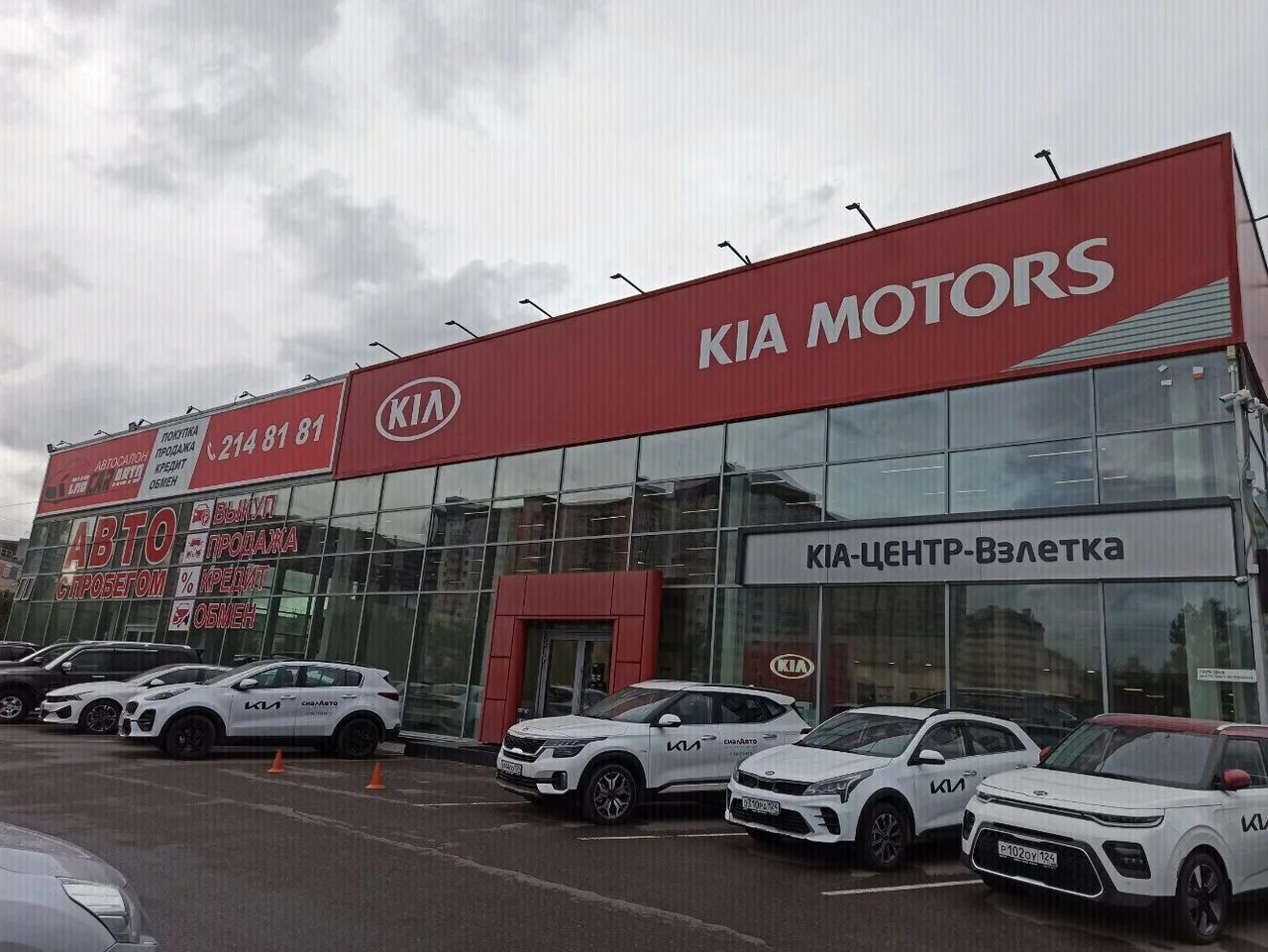 Красноярск ул караульная 47 автосалон. Автосалон центральный в красноярске. Автосалон ул караульная 47. Красноярск атц медведь хендай караульная. Караульная ул.