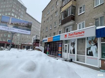Ветлекарь новосибирск
