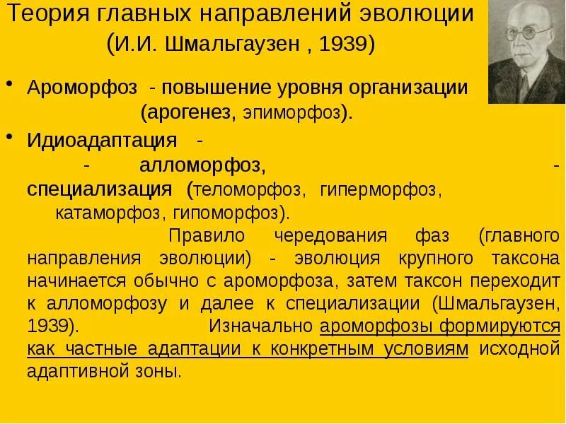 Примеры макроэволюционных изменений