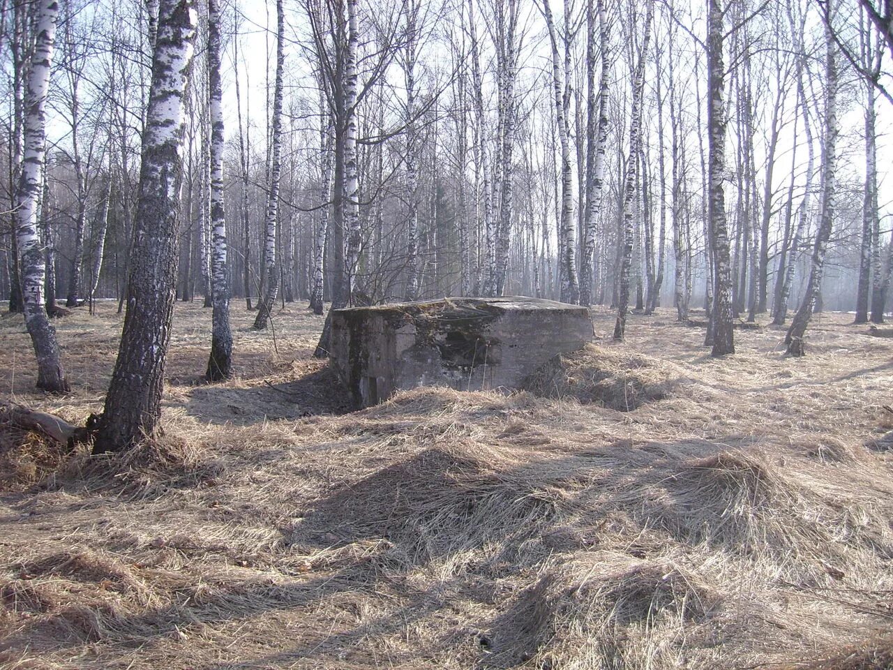 Фомино 1 е. Фомино 1 е. Фомино 1 е. Фомино 1 е. Фомино деревня смоленская.