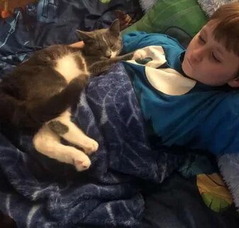 Что стало с котом