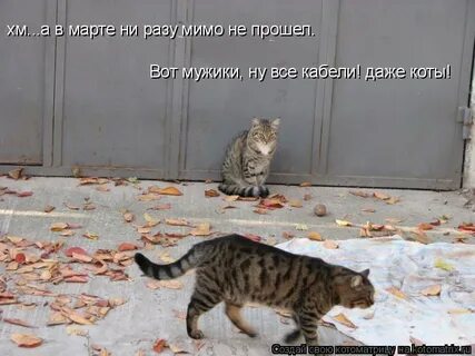 Не разу не было мимо