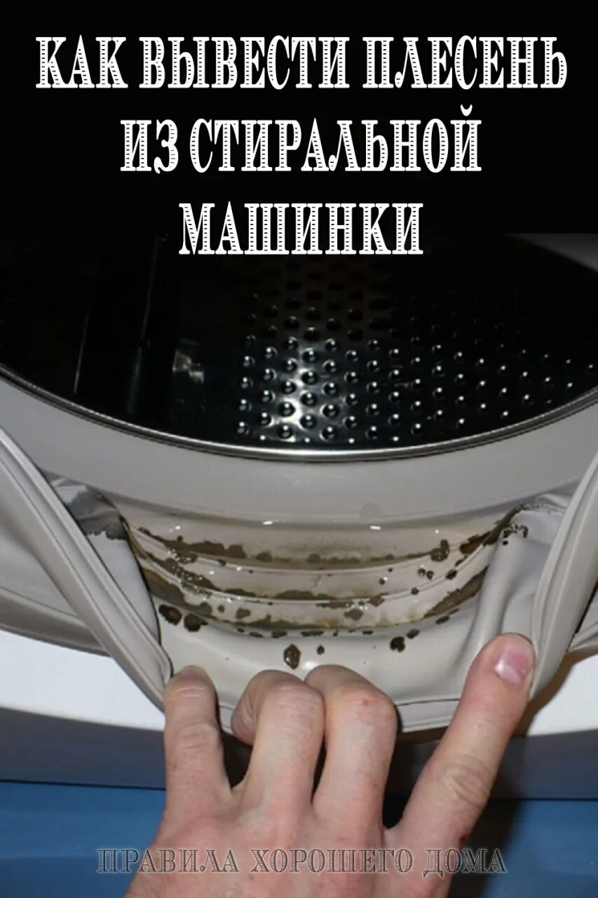 Как избавиться от плесени в стиральной. Грибок в стиральной машинке. Плень в стиральной машинке. Плеснньв стиральной машине. Плесень в стиральной машинке.