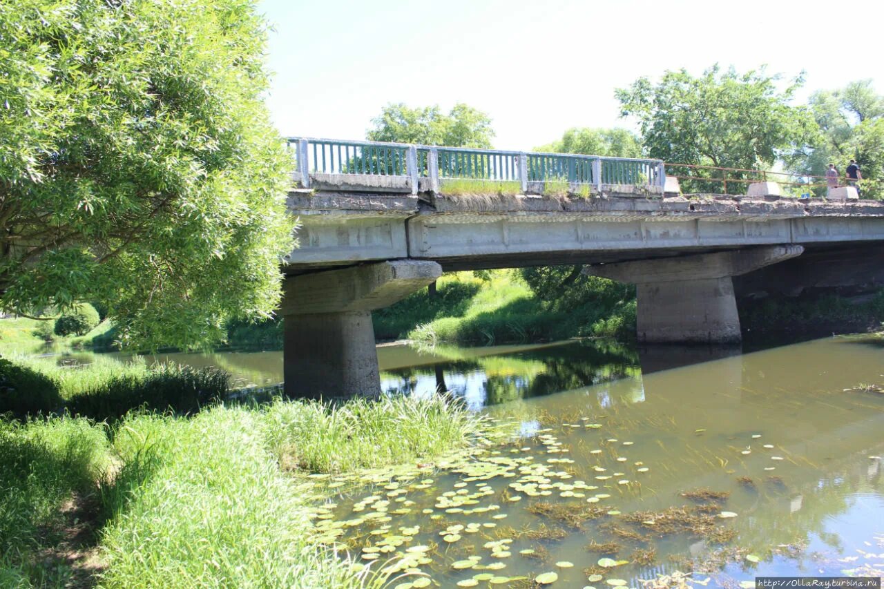 Исток вязьма. Река вязьма смоленская. Река вязьма смоленская область. Ильинский пруд река черничка. Исток вязьма.