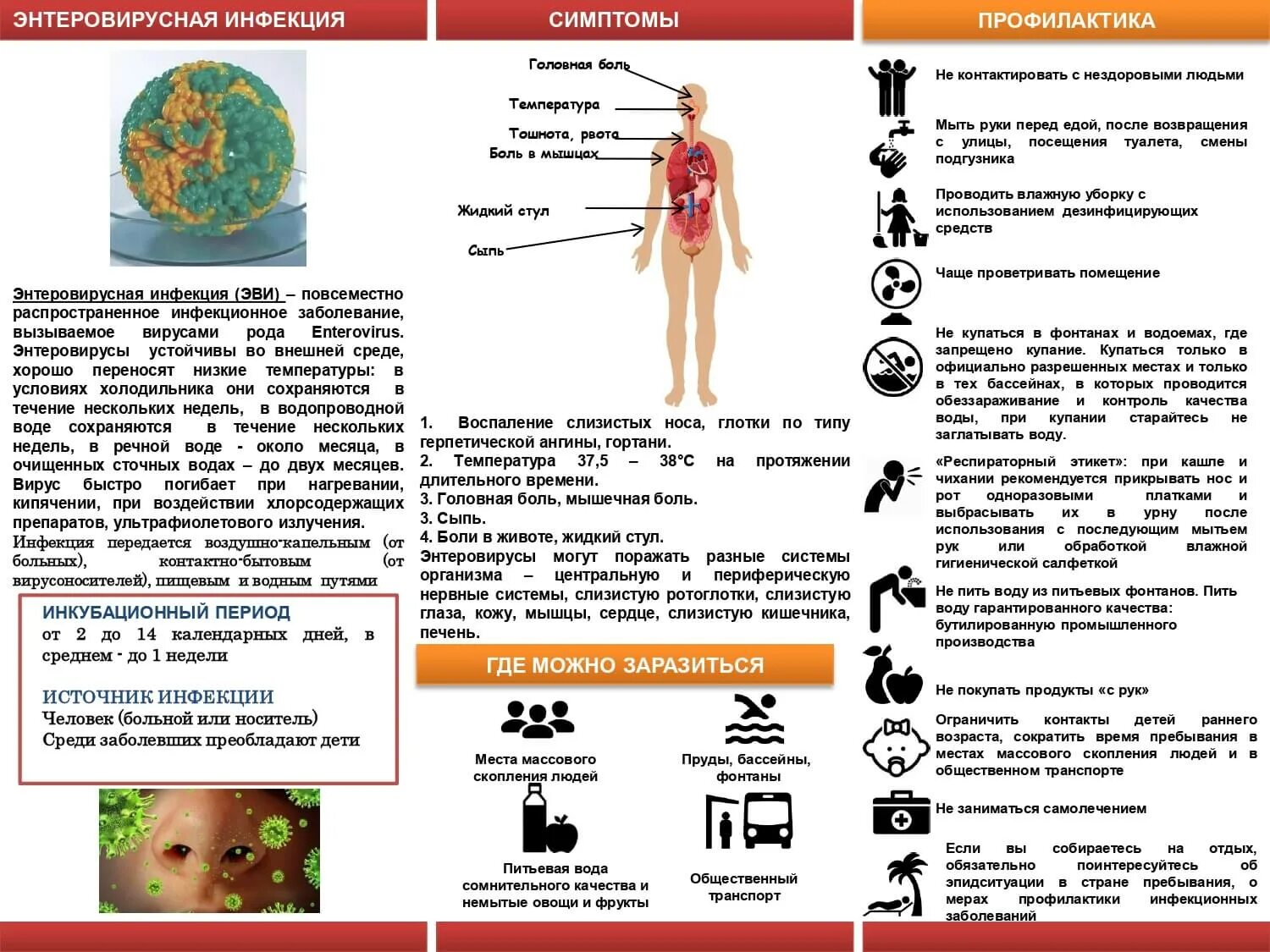 Энтеровирусная инфекция. Профилактика энтеровирусной инфекции. Энтеровирусная инфекция у детей. Энтеровирусная инфекция симптомы. Энтеровирусной инфекцией эви
