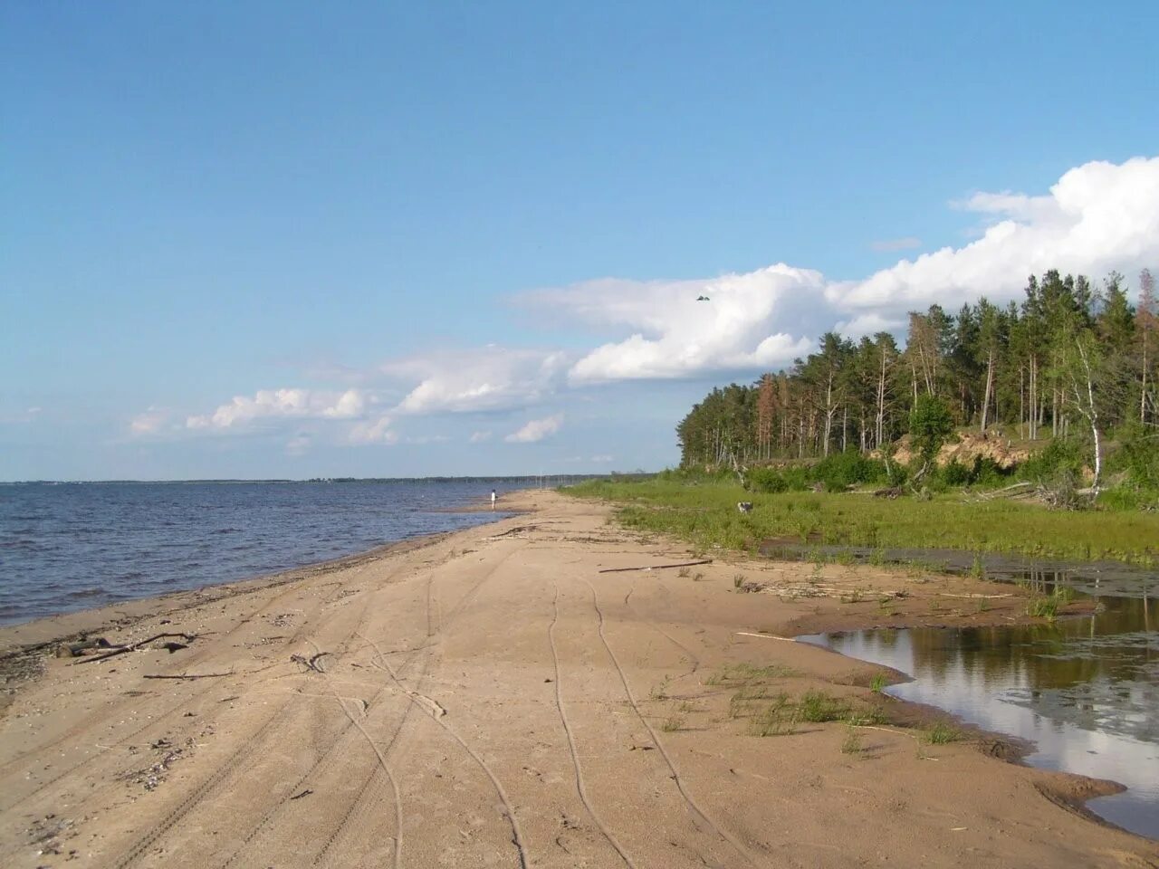псковское озеро отзывы. псковское озеро новосибирске.