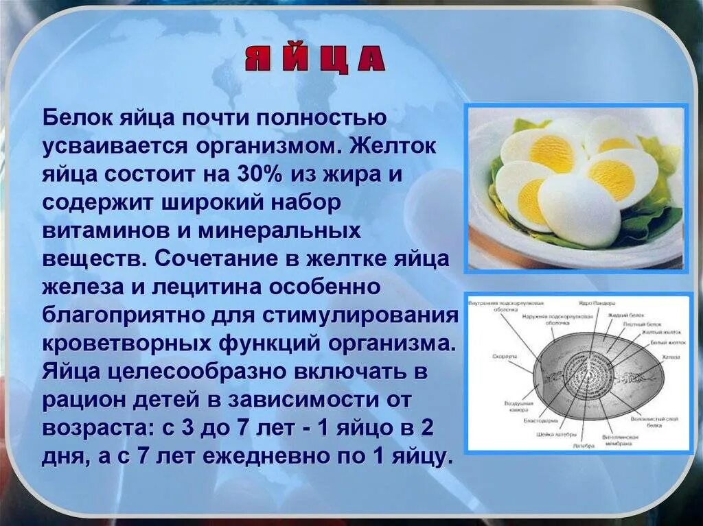 Можно есть вареное яйцо на ночь. Что содержит белок яйца. Белок и желток в яйце. Питательные вещества в курином яйце. Белок куриного яйца состоит из.