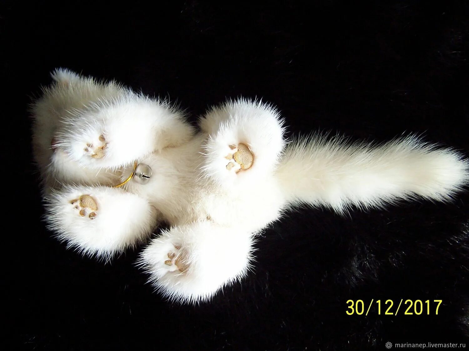 Лапки норки. Пушистые лапки на белом. Кошачьи лапки из меха норки. Котенок в норке. Котенок из норки.