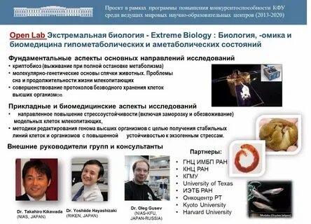 Фундаментальная медицина