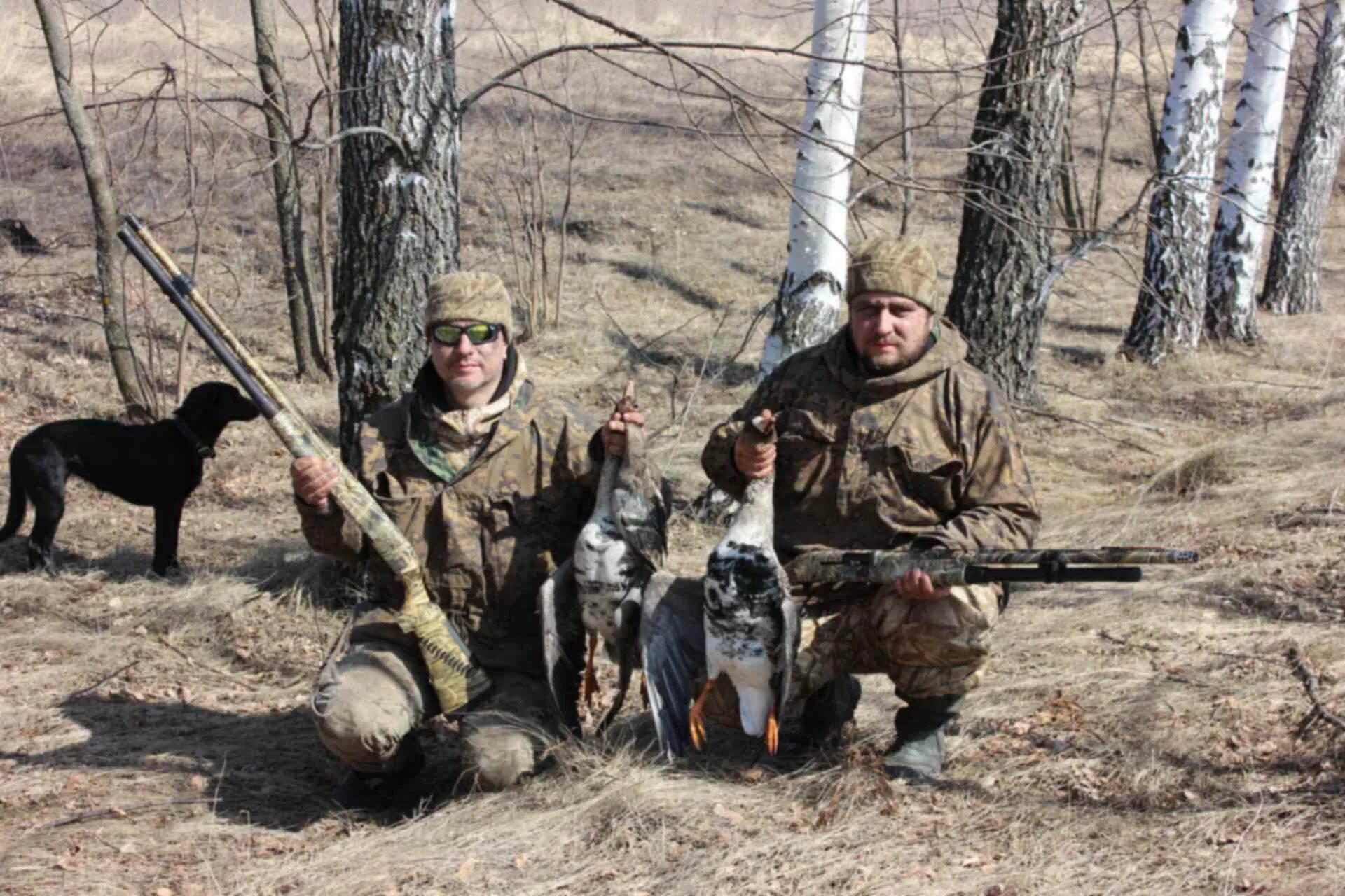 Весенняя охота в оренбургской области 2024. Подготовка к весенней охоте прикол.