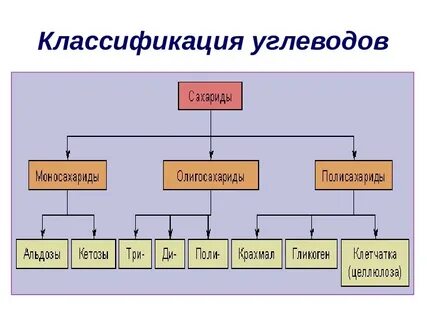 Классификация углеводов биохимия