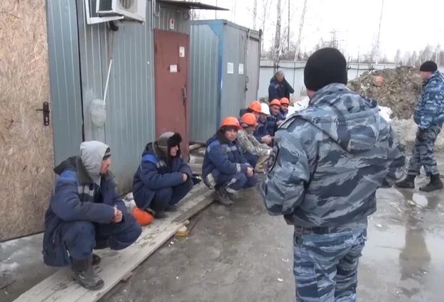 Организация незаконной миграции новости. Организация незаконной миграции новости. Операция нелегал 2022 фото. Мигранты. Организация незаконной миграции новости.