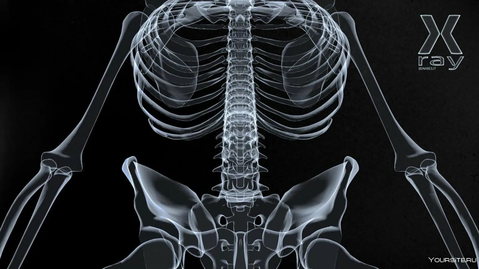 Снимок. XRAY рентген. Рентгеновские снимки. Рентгенограмма скелета. Рентген снимки.