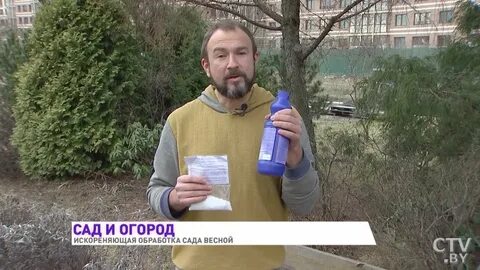При какой температуре делать искореняющую обработку сада