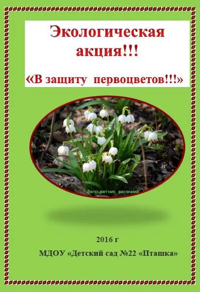 Акция в защиту первоцветов. Листовка в защиту первоцветов. Сохранение первоцветов. Листовки по первоцветам. Планирование первоцветы подготовительная группа