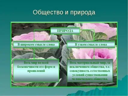 Как распознать природы