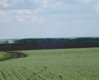Неиспользование земельного участка