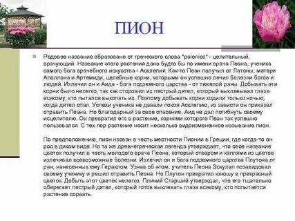 Легенда описание