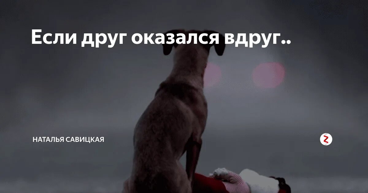 Друг вдруг. Картинки если друг оказался. Если друг оказался вдруг картинки. Когда друг оказался вдруг. Когда друг оказался вдруг и не друг.