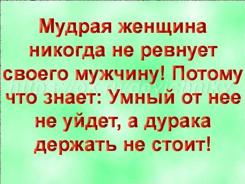 Муж дурачок. Мудрая женщина никогда. Мудрая жена. Мудрая женщина не держит мужчину. Умный от меня не уйдёт а дурака я не держу.