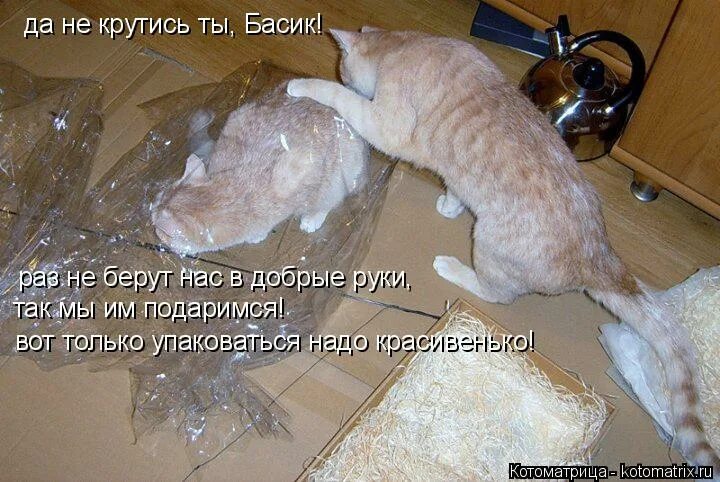 Как бы не крутилась старалась песня. Как бы не крутилась старалась песня