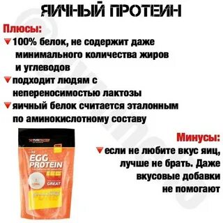 Яичный альбумин какой белок
