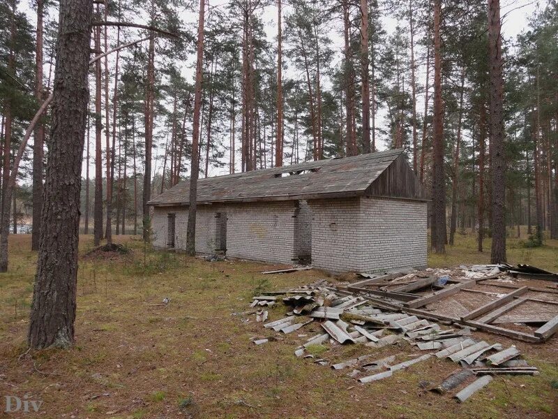 Дол в луге. Пионерский лагерь космос Луга. Пионерский лагерь зеленое озеро Луга. Пионерский лагерь "зеленое озеро" Лужский. Заброшенные лагеря в Лужском районе.