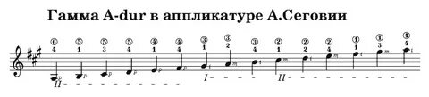 Элемент гаммы