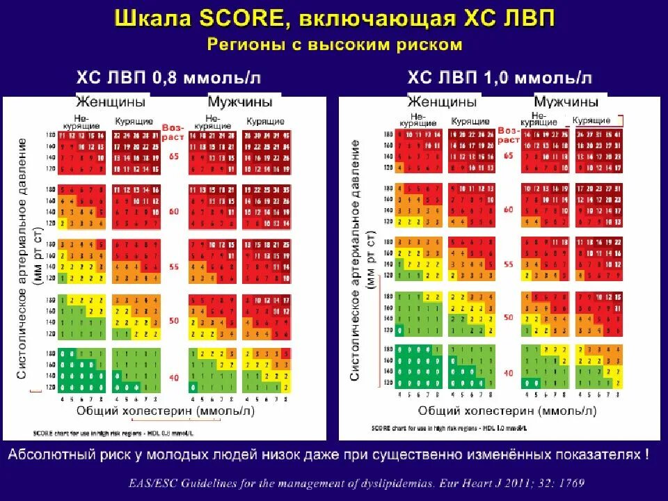 Сердечно сосудистых по шкале score низкий. Суммарный сердечно-сосудистый риск по шкале score. Шкала score для оценки сердечно-сосудистого риска. СС риск по шкале score. Шкала score 2023.
