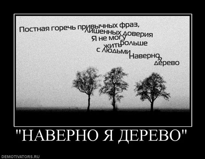 Смотрю как деревья растут. Цитаты про деревья. Афоризмы про дерево. Высказывания о деревьях. Фразы про дерево.