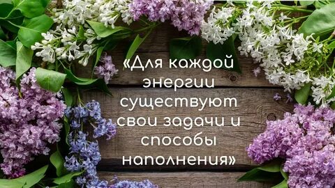 Цветы вчера днем