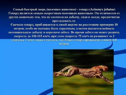 Опорная схема способы передвижения животных