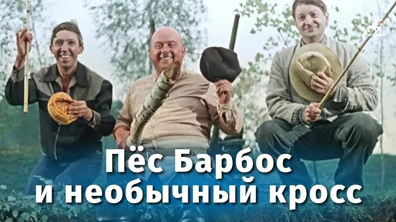 Пес барбос и необыкновенный кросс. Пес барбос и необыкновенный кросс