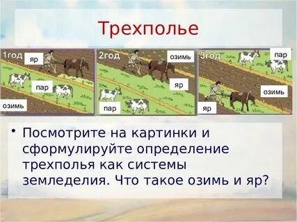 Что такое трехполье