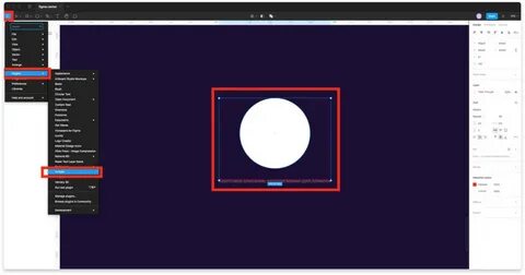 Plugin path