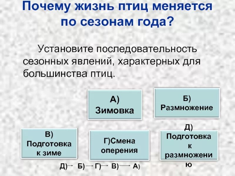 Последовательность сезонных явлений в жизни птиц