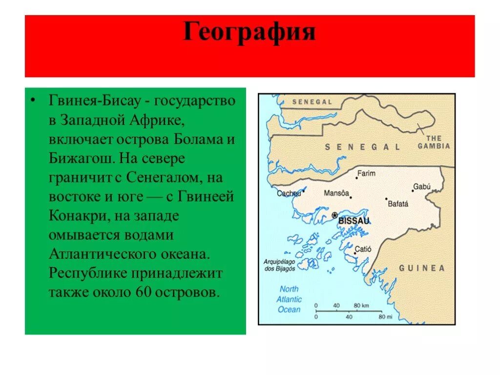 Особенности гвинея. Остров новая гвинея презентация. Экваториальная гвинея на карте. Республика гвинея климат. Особенности гвинея.