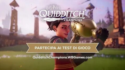 Quidditch champions