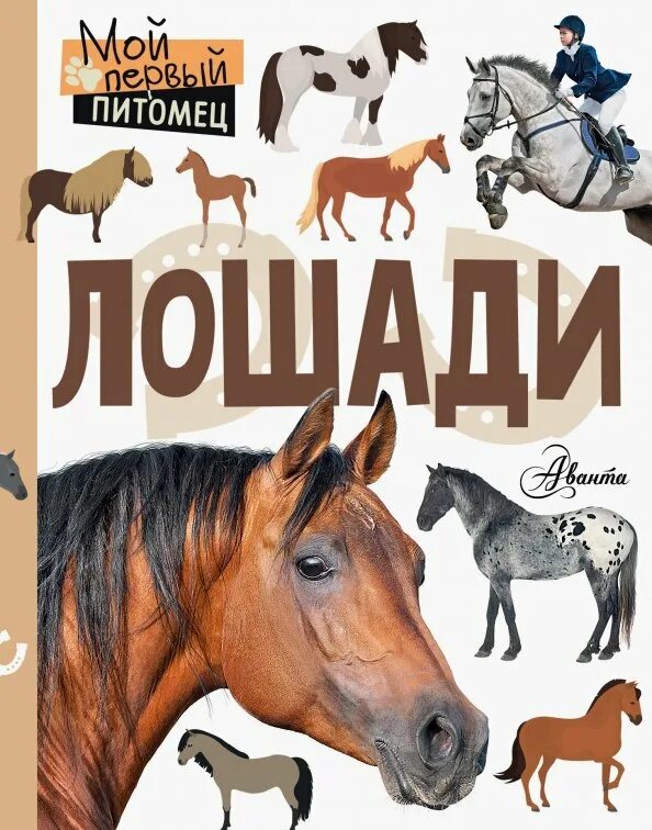 Одна лошадь. Арабо башкирская помесь. Книги про лошадей художественные. 5 года. Моя первая лошадь.