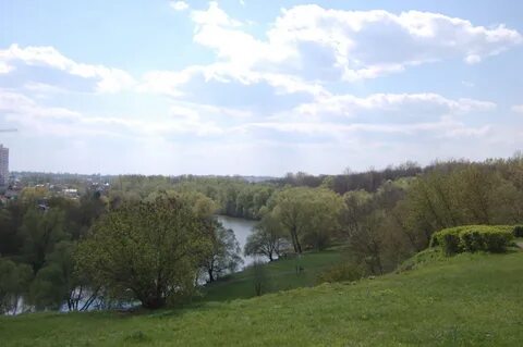 Берег реки орел