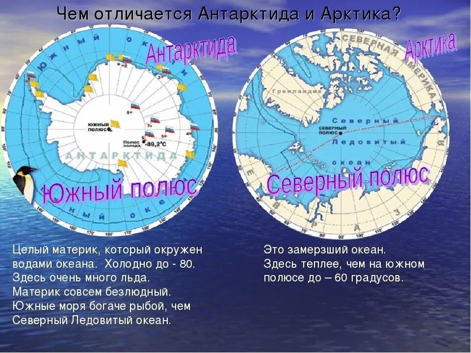 Положение антарктиды к океанам. Арктика и Антарктида. Антарктика и Антарктида. Антарктика и антракмтмла. Арктика Антарктика Антарктида.