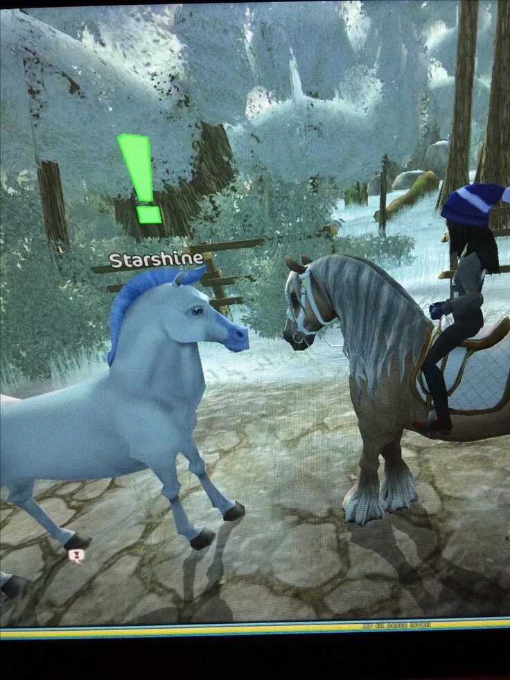 Как снимать стар стейбл More Gorgeous Andalusians! Star Stable Star stable, Star stable horses, Andalusi
