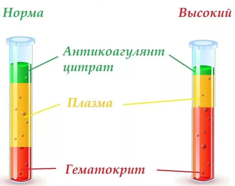 Норма гематокрита в крови. Гематокрит показатели нормы. Схема гематокрита. Низкий гематокрит.