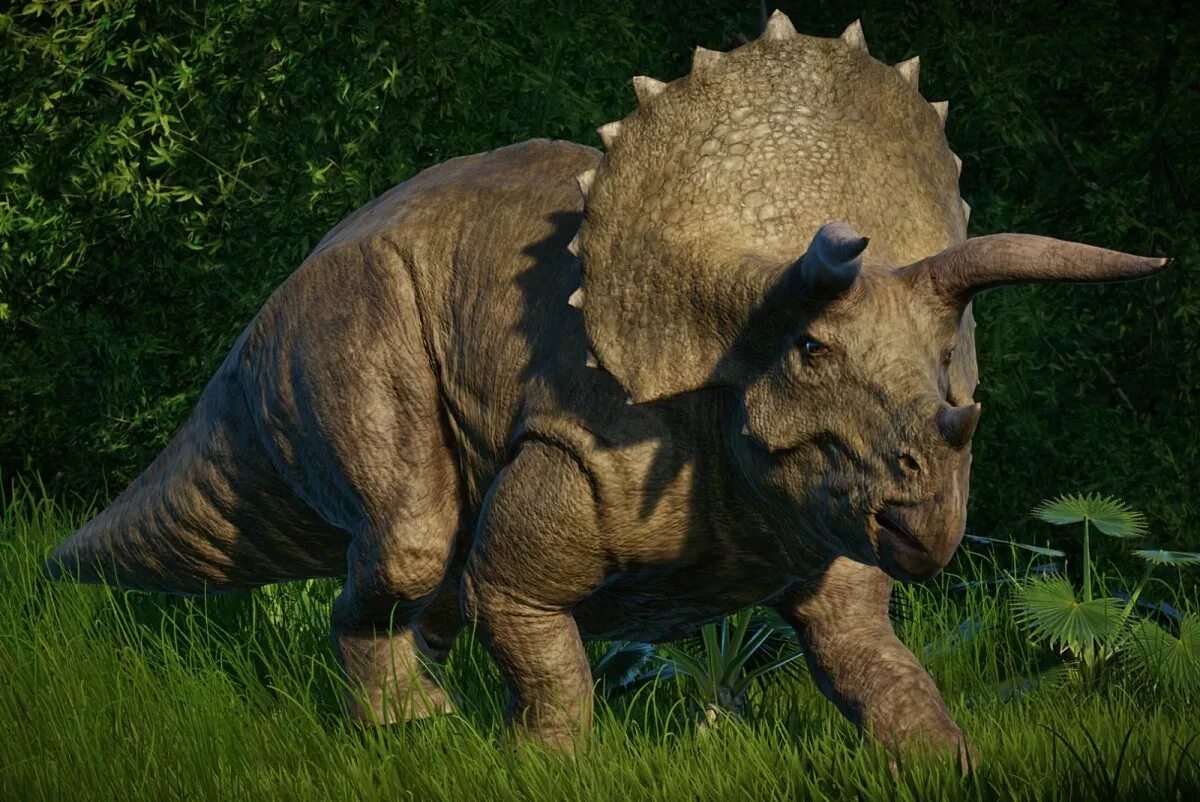 Трицератопс мир Юрского периода. Динозавр Трицератопс. Jurassic World Evolution Трицератопс. Трицератопс динозавры мелового периода.