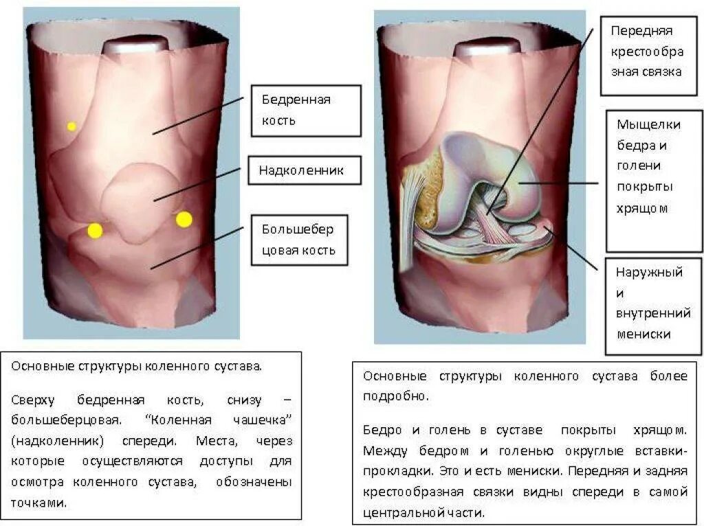 Снизу справа коленки болит. Ноющая боль под коленкой спереди. Болит под коленом спереди.