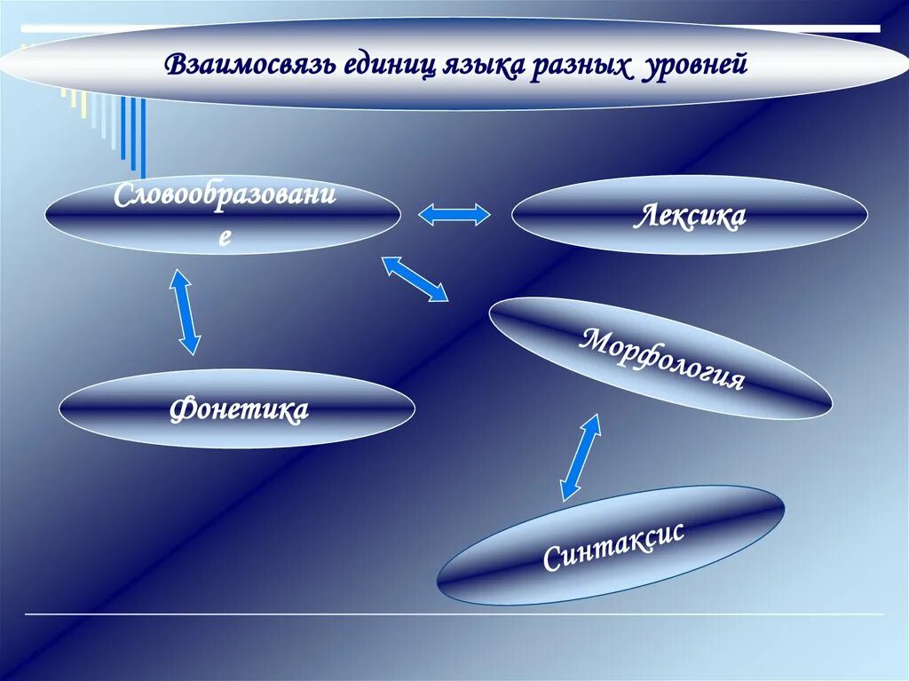Система языка проявляется в. Взаимосвязь различных единиц и уровней языка. взаимосвязь единиц языка разных. система языка. уровни языка и языковые единицы.