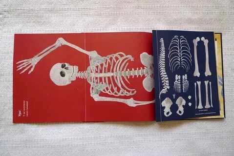 Скелет книги