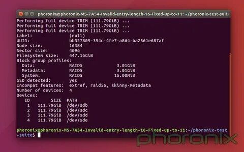 Linux raid