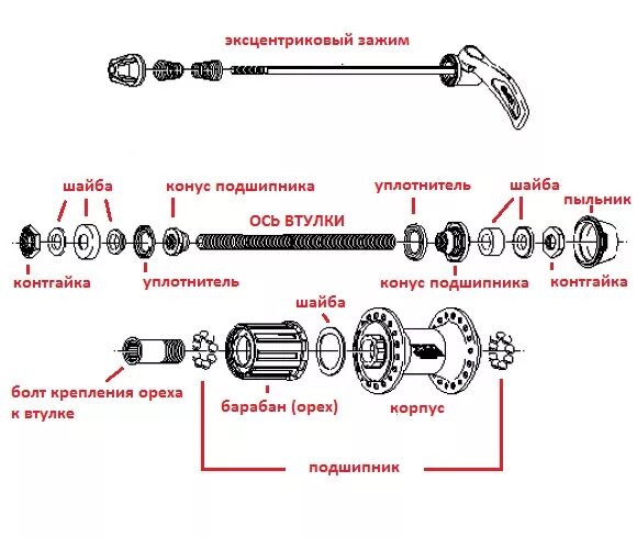 Замена заднего колеса велосипеда скоростного. Втулка заднего колеса скоростного велосипеда стелс. Велосипед стелс горный втулка заднего колеса. Сборка втулки заднего колеса велосипеда стелс 310. Устройство втулки заднего колеса велосипеда стелс.