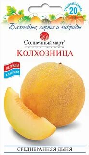 Дыня колхозница описание
